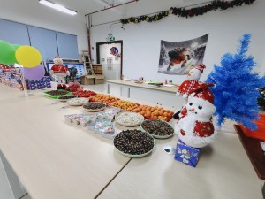 “多國(guó)風(fēng)采、別具風(fēng)格”的的圣誕節(jié)活動(dòng)